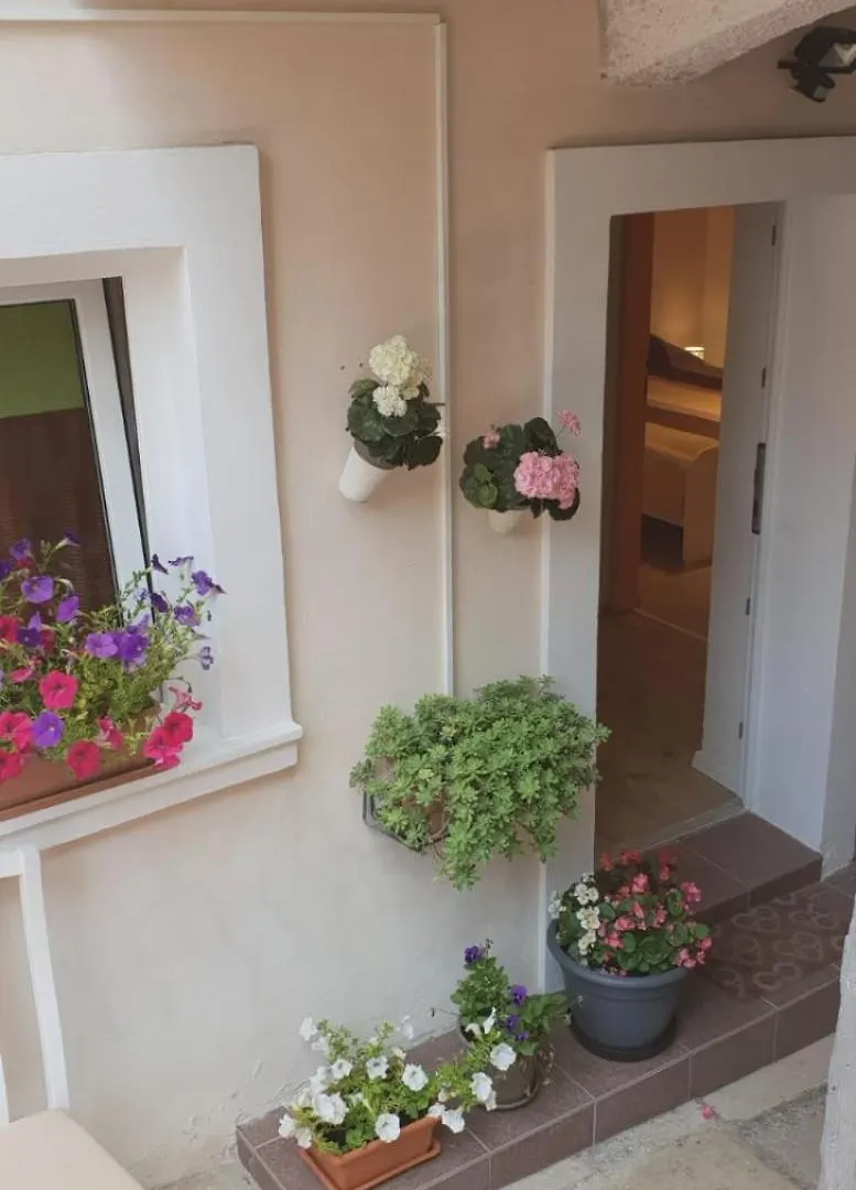 Apartment Asja Old City Center Pula