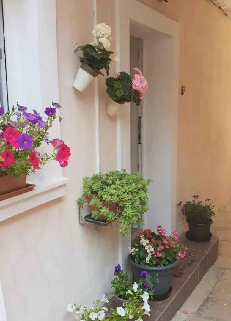Apartment Asja Old City Center Pula