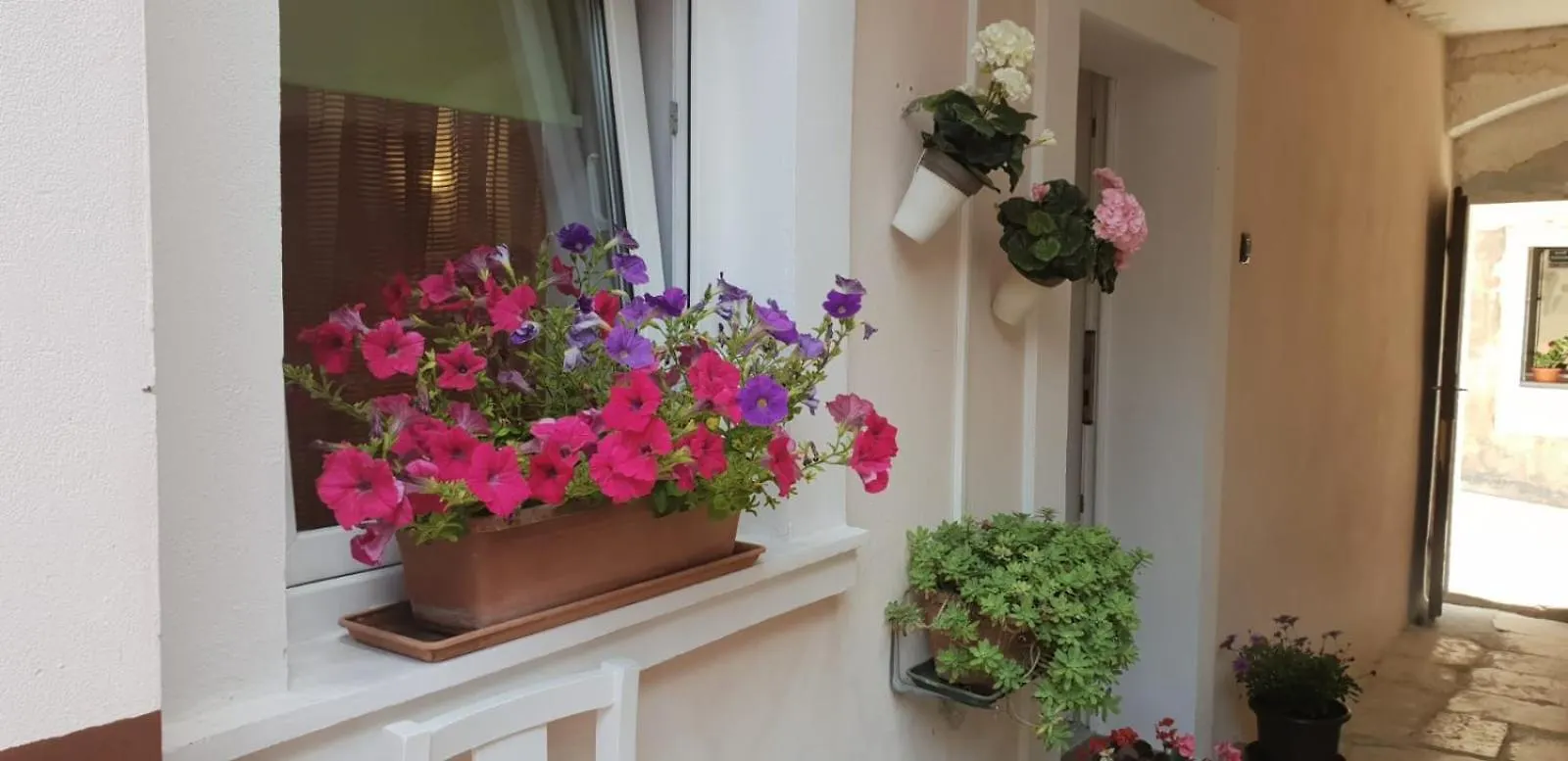 Apartment Asja Old City Center Pula